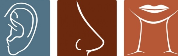 Greater Noida ENT Wellness