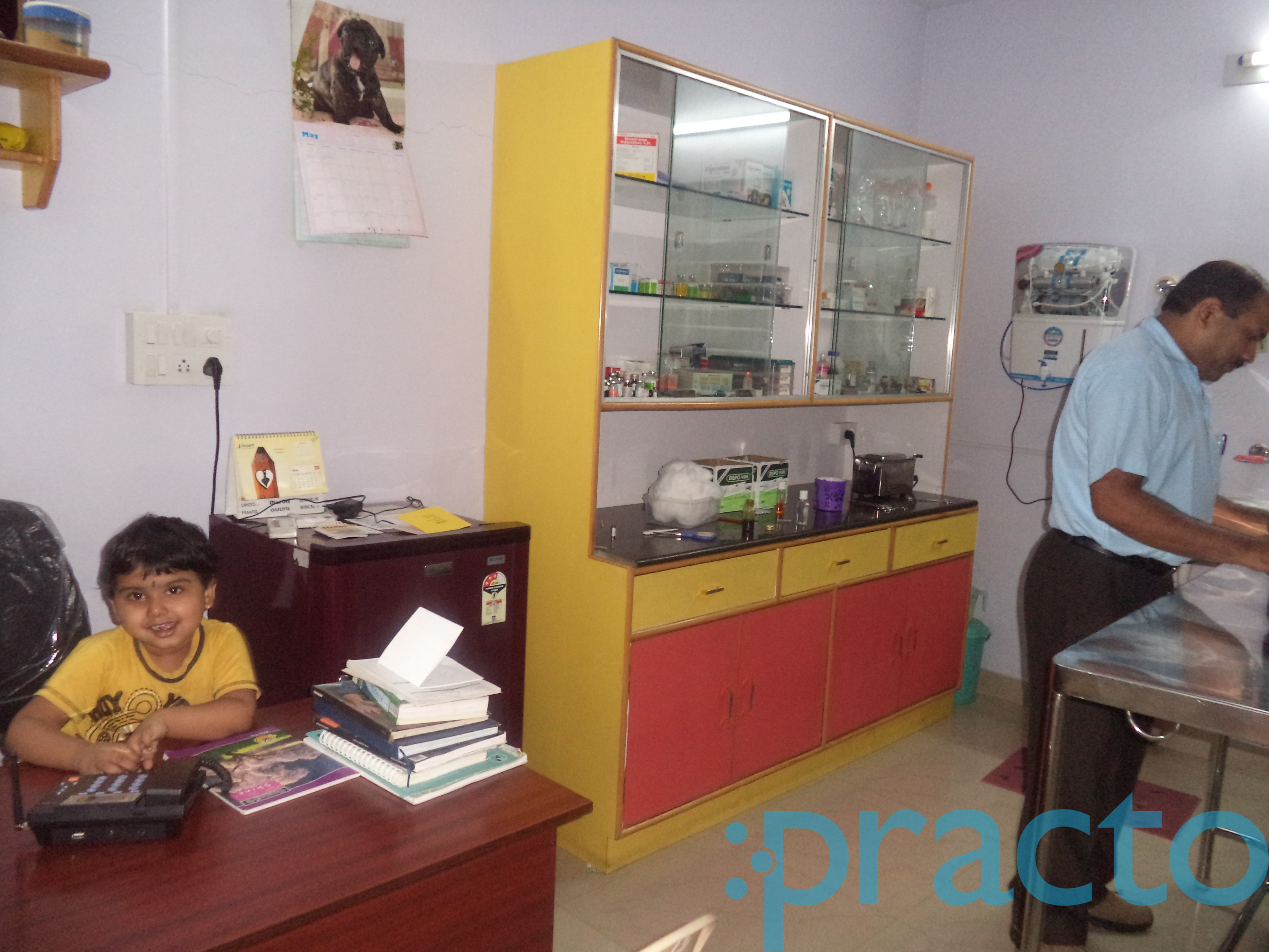 Sanjeevini Veterinary Clinic and Surgery  Centre Padmanabhanagar Bangalore