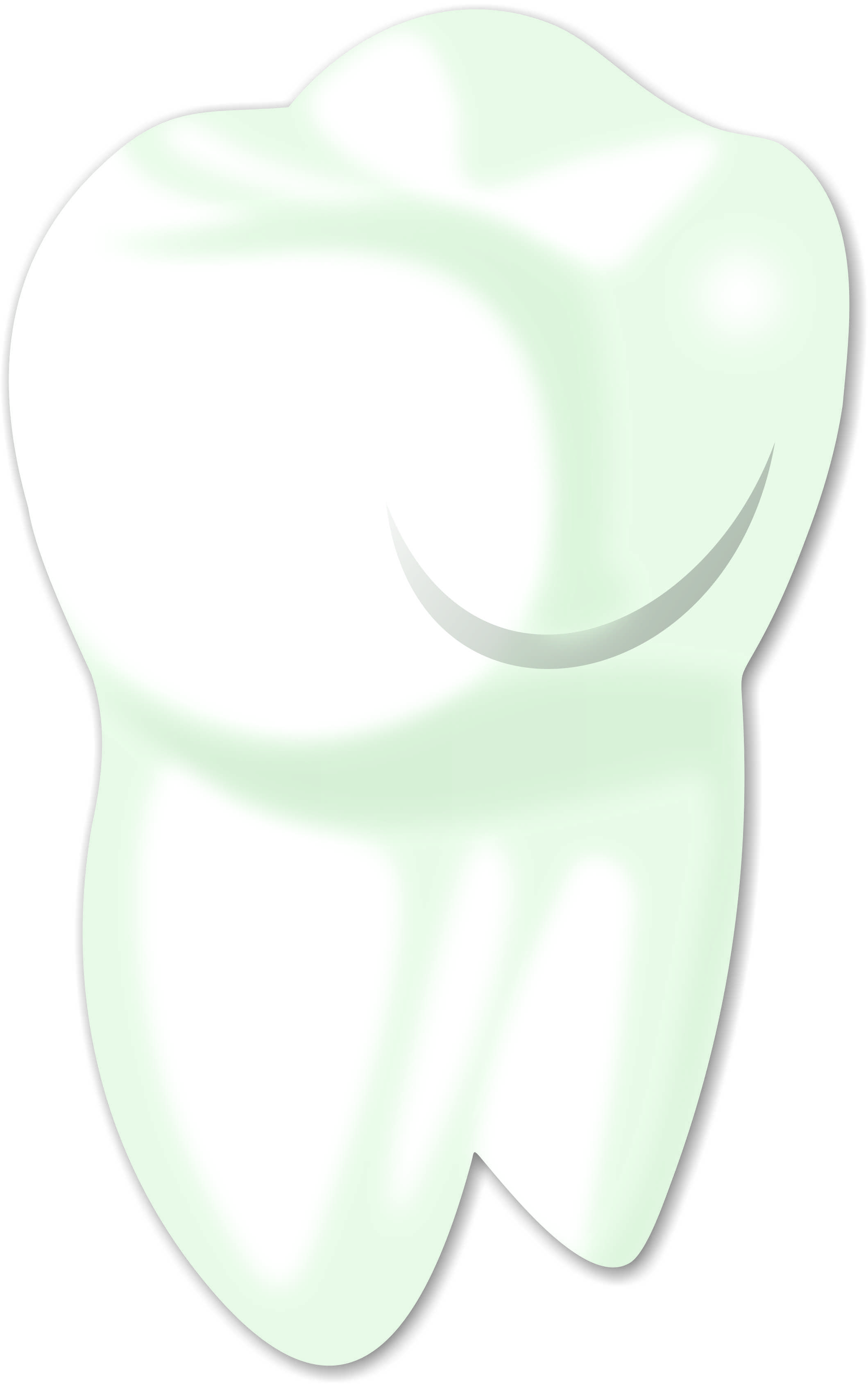 Balaji Dental Clinic