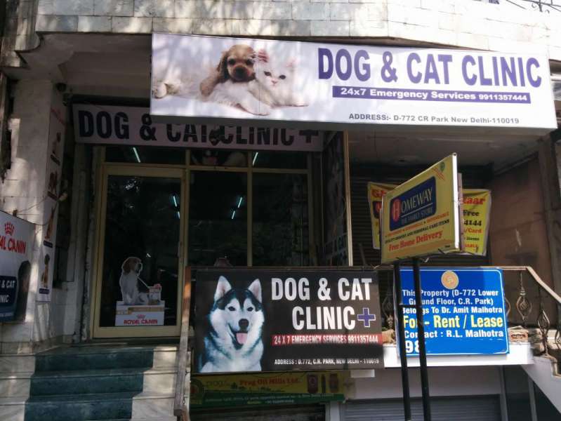 Cat & dog store clinic