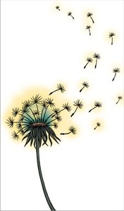 Dandelion Dental & Derma Care Centre