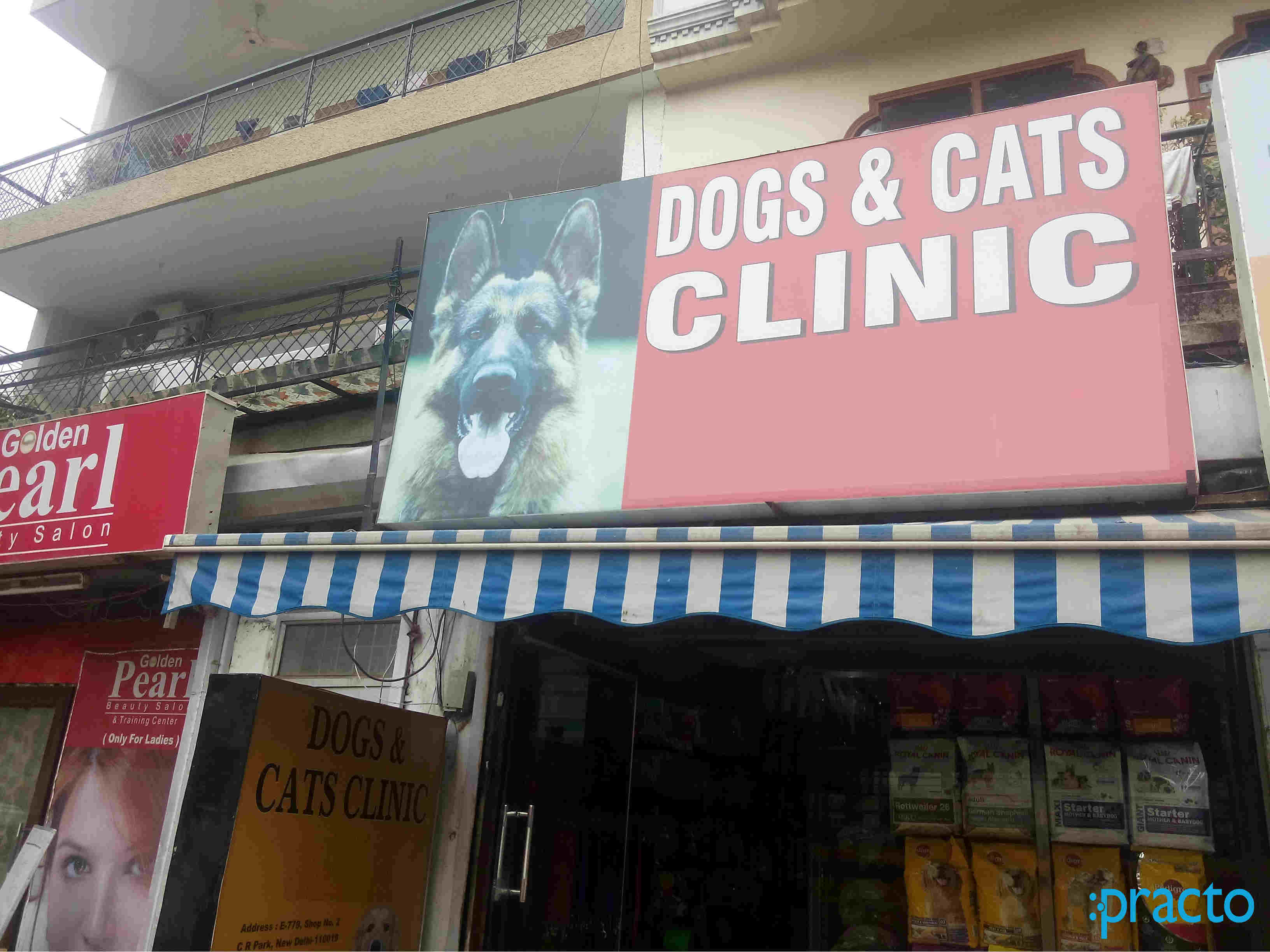 Dogs & Cats Clinic CR Park Delhi