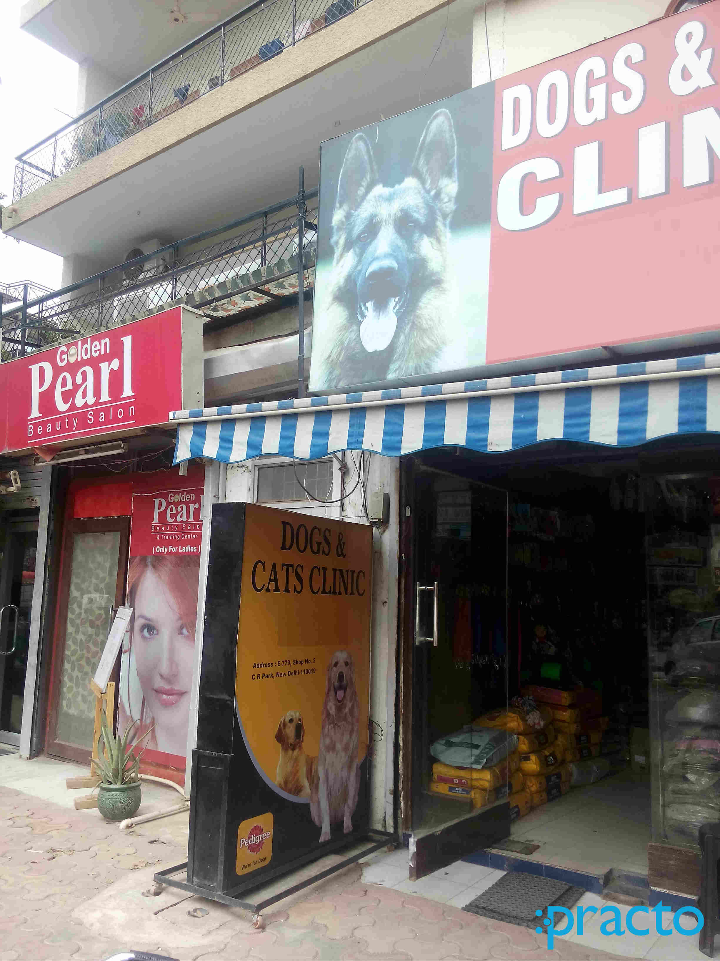 Dogs & Cats Clinic CR Park Delhi