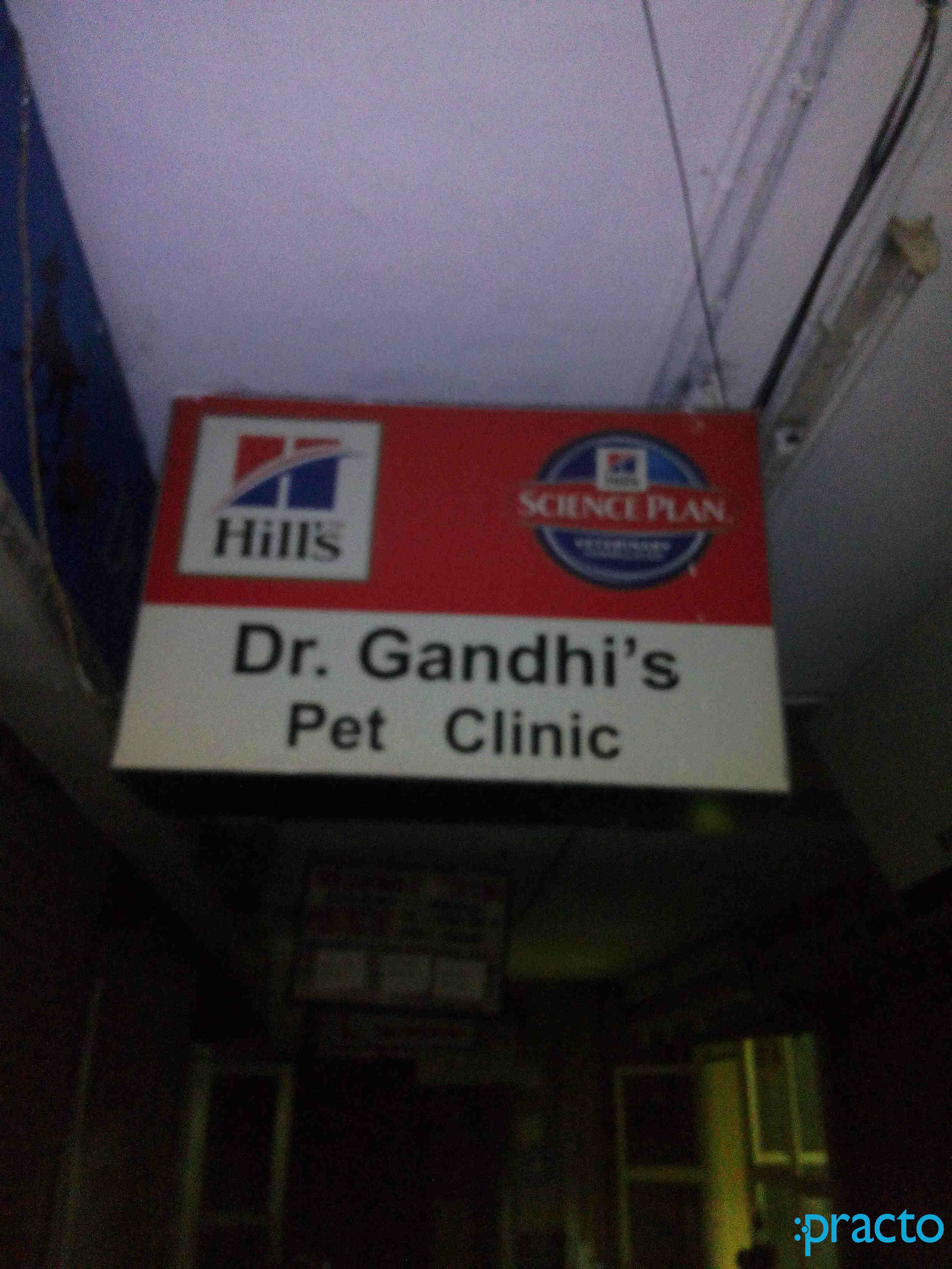 Dr. Gandhi's Pet Hospital East Of Kailash Delhi