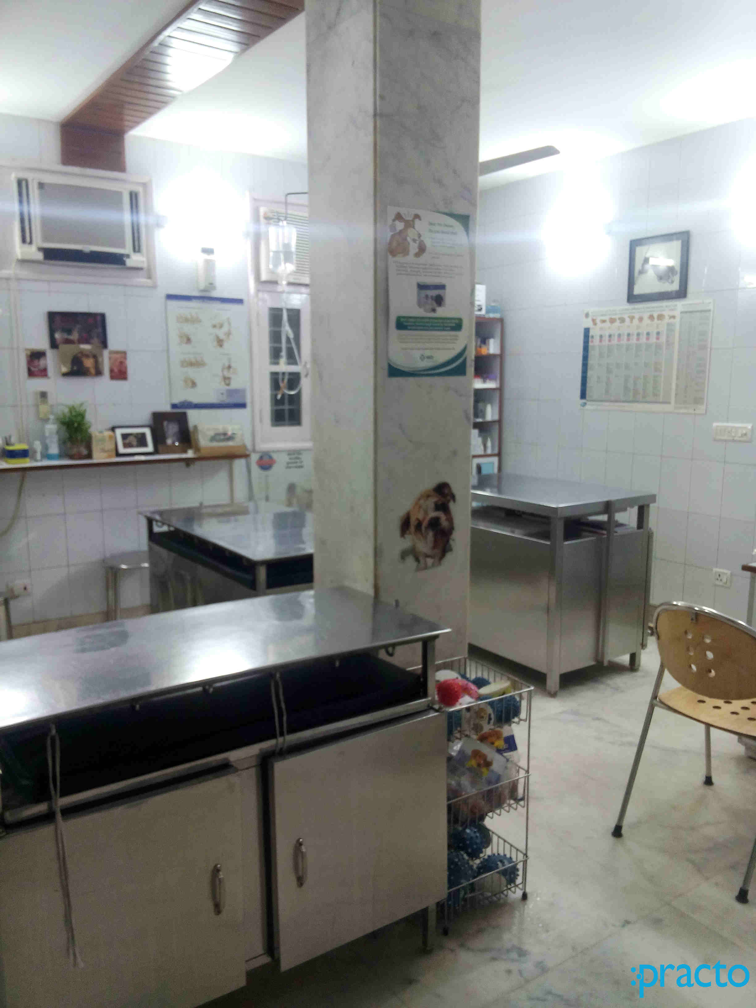 Dr. Gandhi's Pet Hospital East Of Kailash Delhi