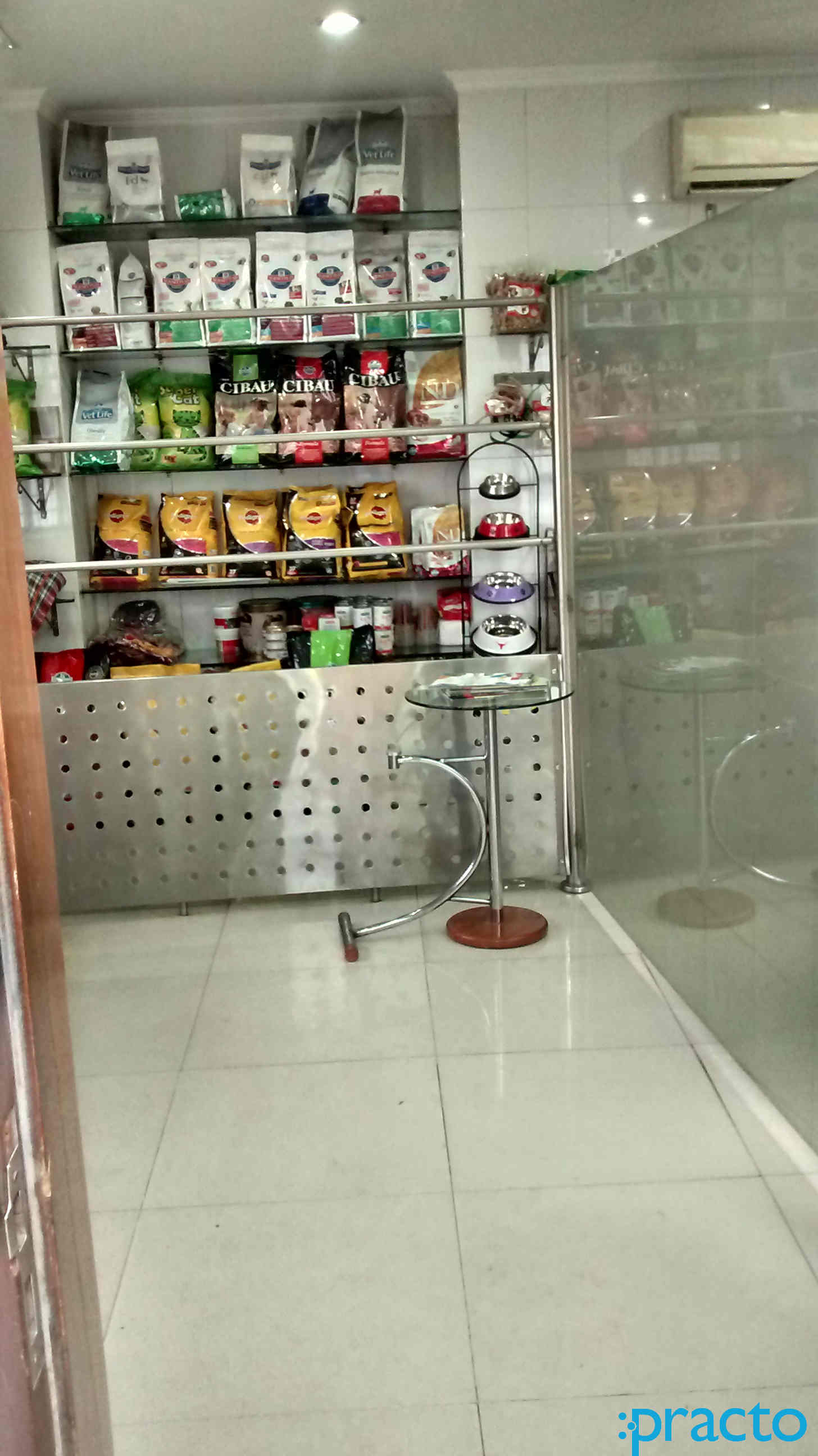 Saket Pet Clinic Saket Delhi