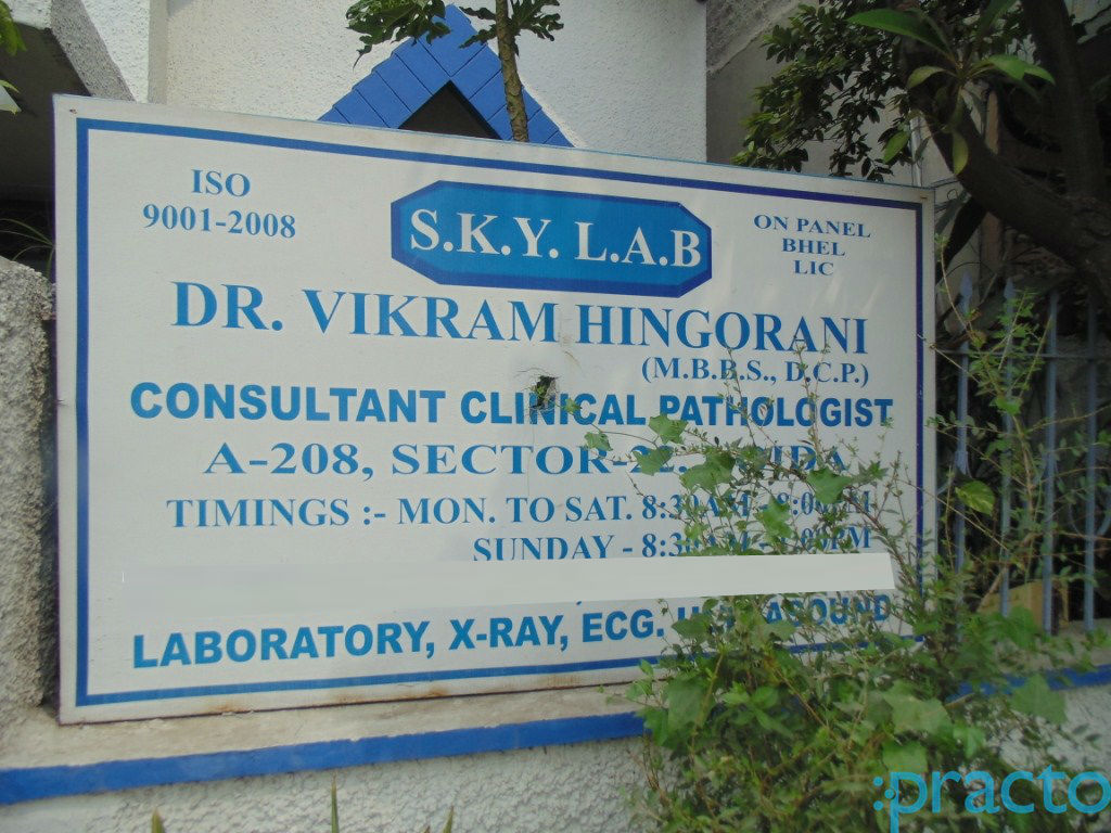 Skylab Sector 22 Noida