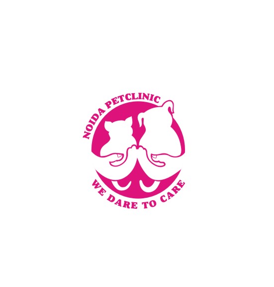 Entrance at Noida Pet Clinic Sector 72 Noida