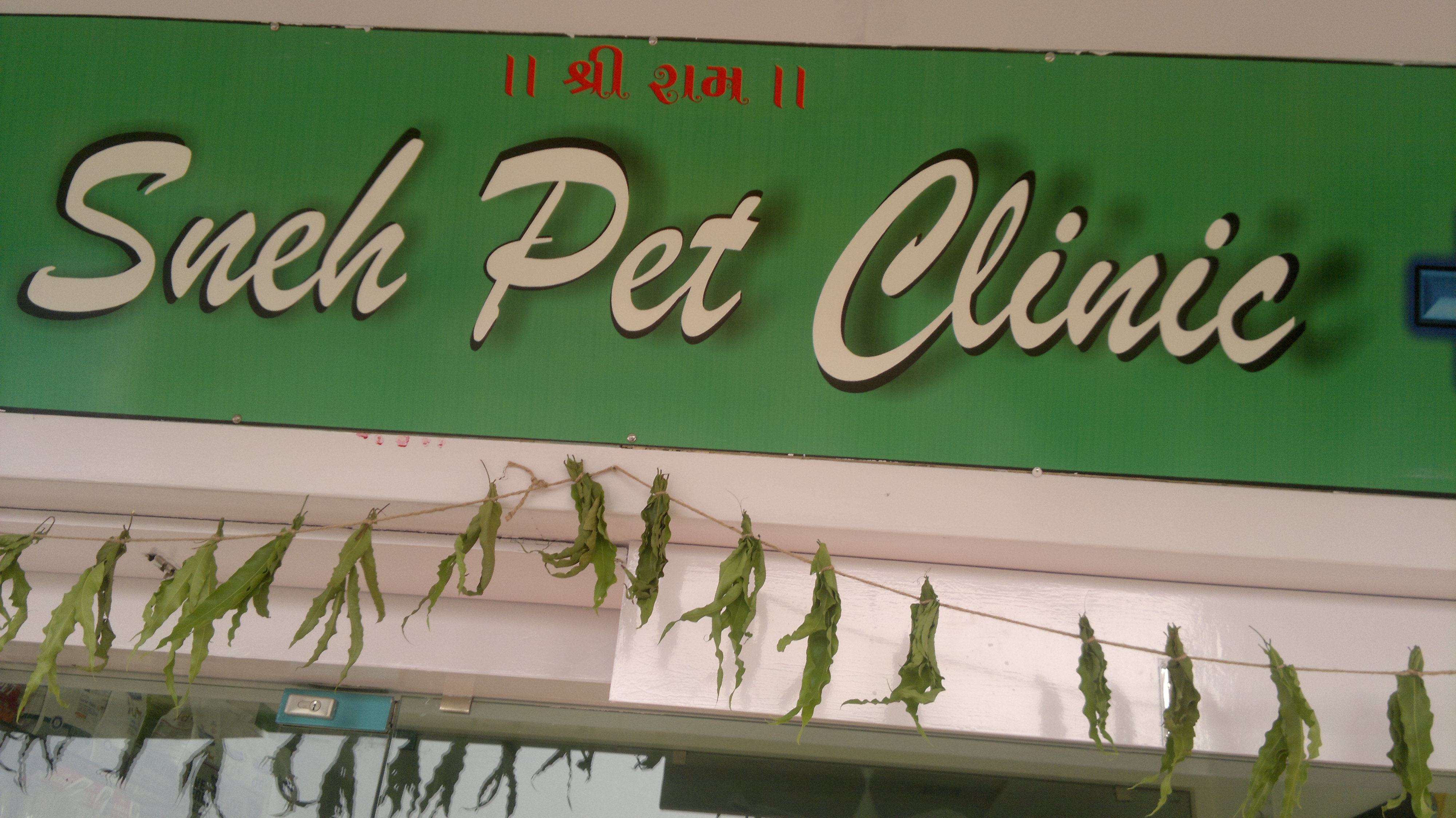 Sneh Pet Clinic Thaltej Ahmedabad