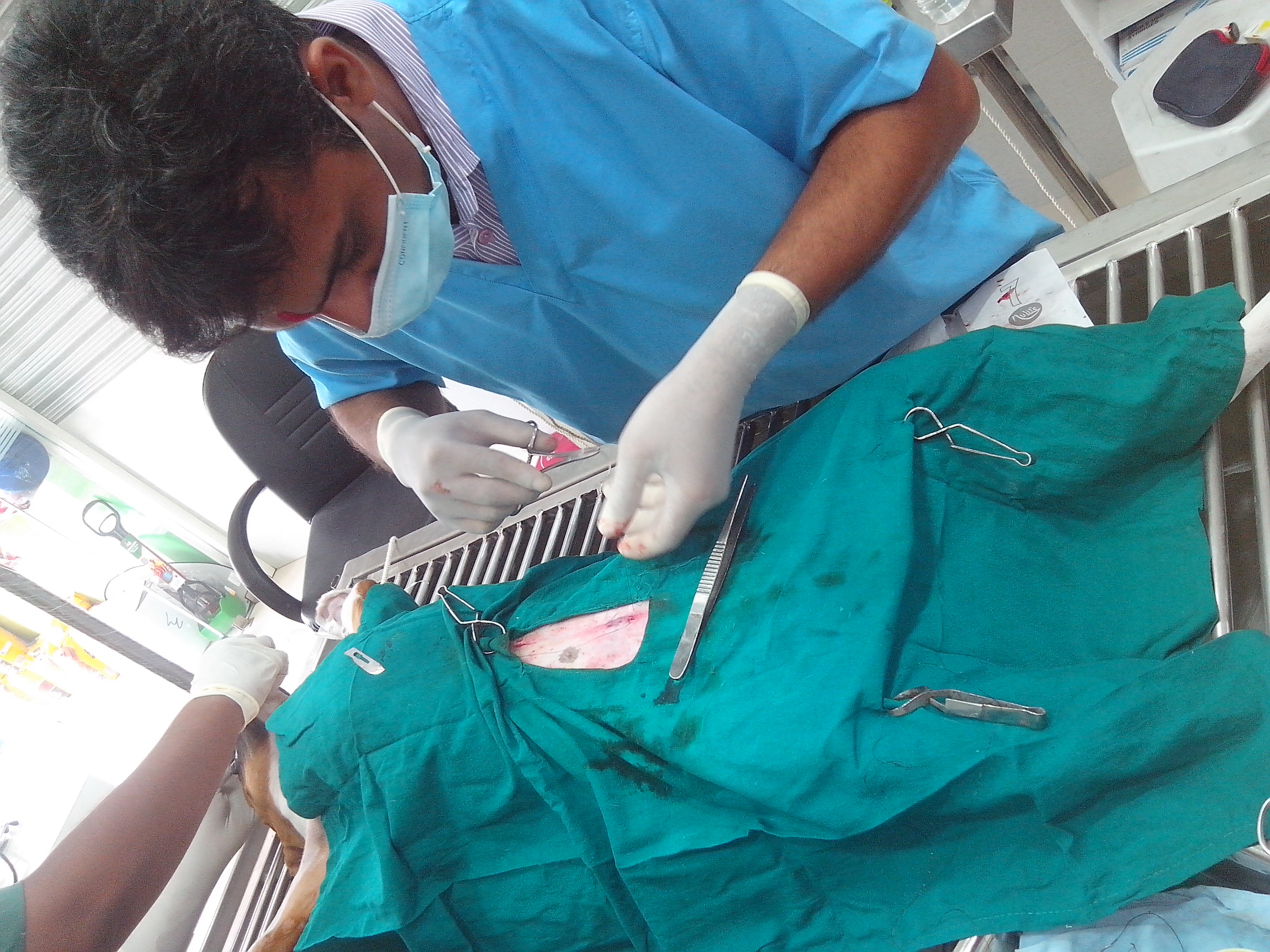 Sneh Pet Clinic Thaltej Ahmedabad