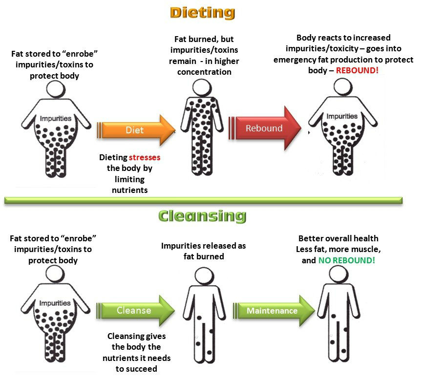 Nutricare Health and Diet Services Mumbai Central Mumbai
