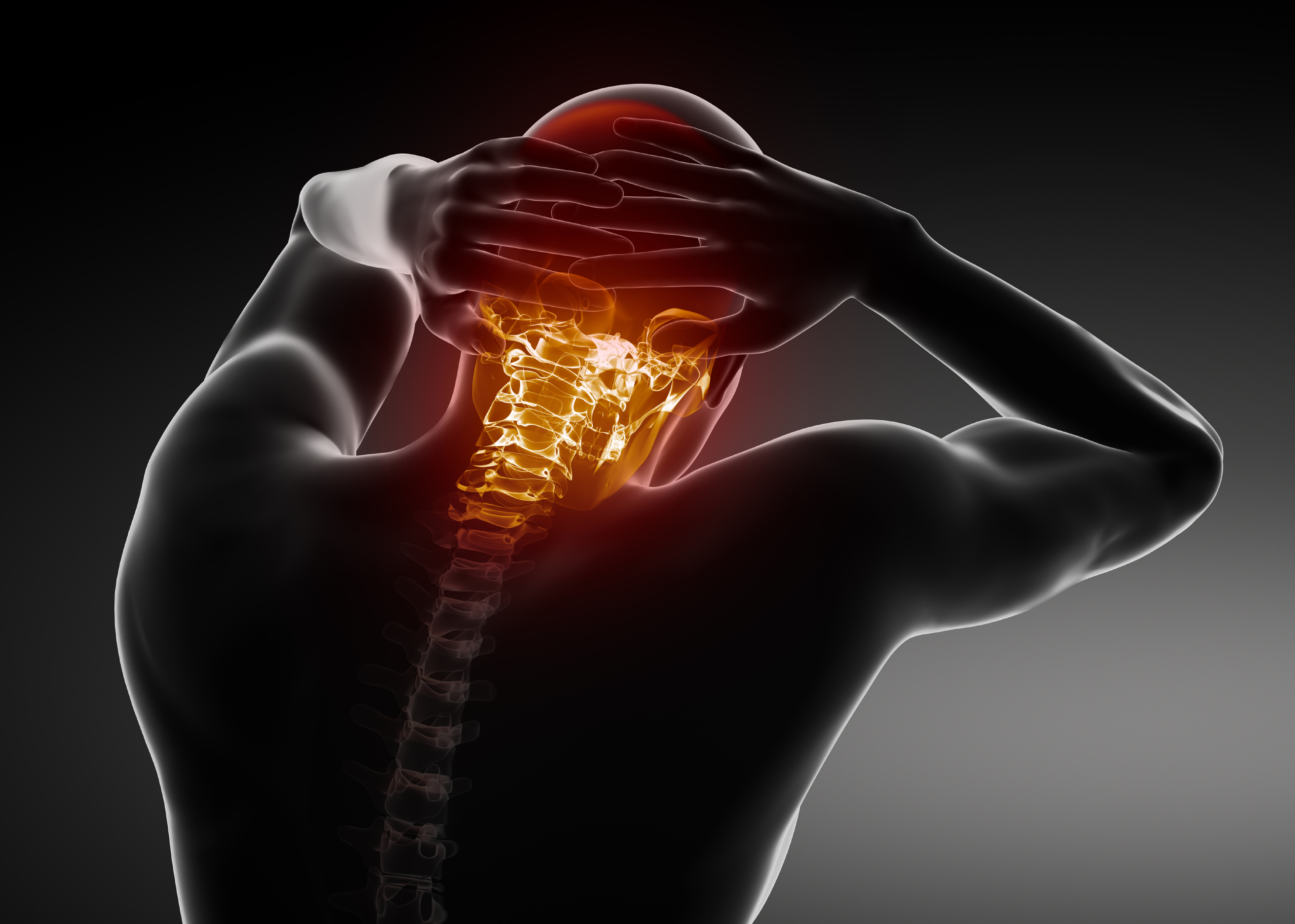 Neuro Spine & Gynae Clinic Pitampura Delhi