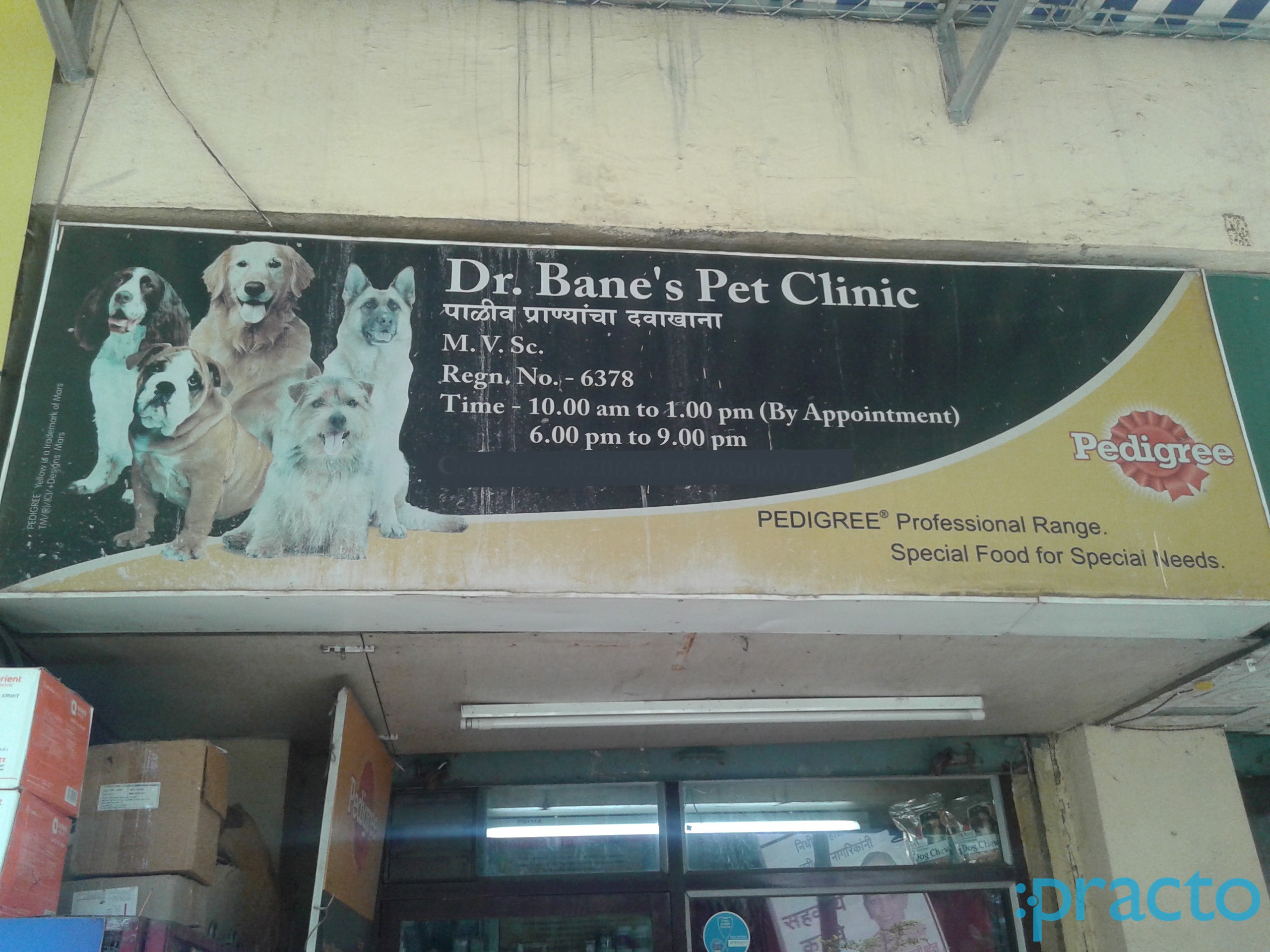 Dr Bene's Pet Clinic Andheri East Mumbai