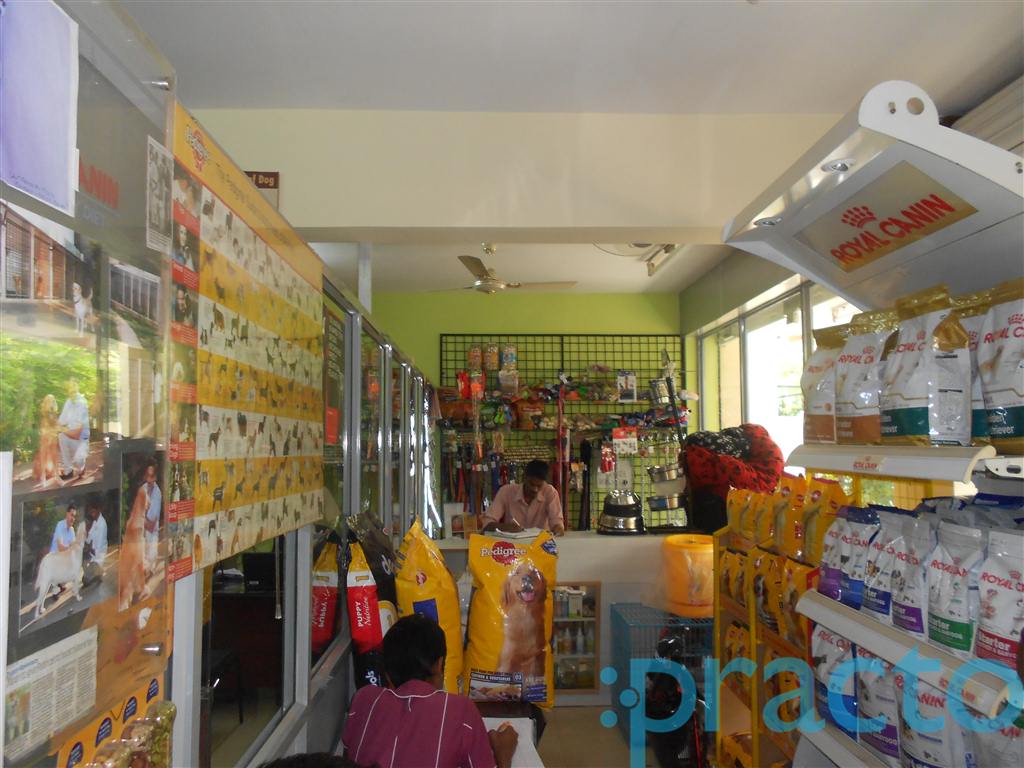 Reception at Prajna Veterinary Clinic Banashankari 3rd Stage Bangalore