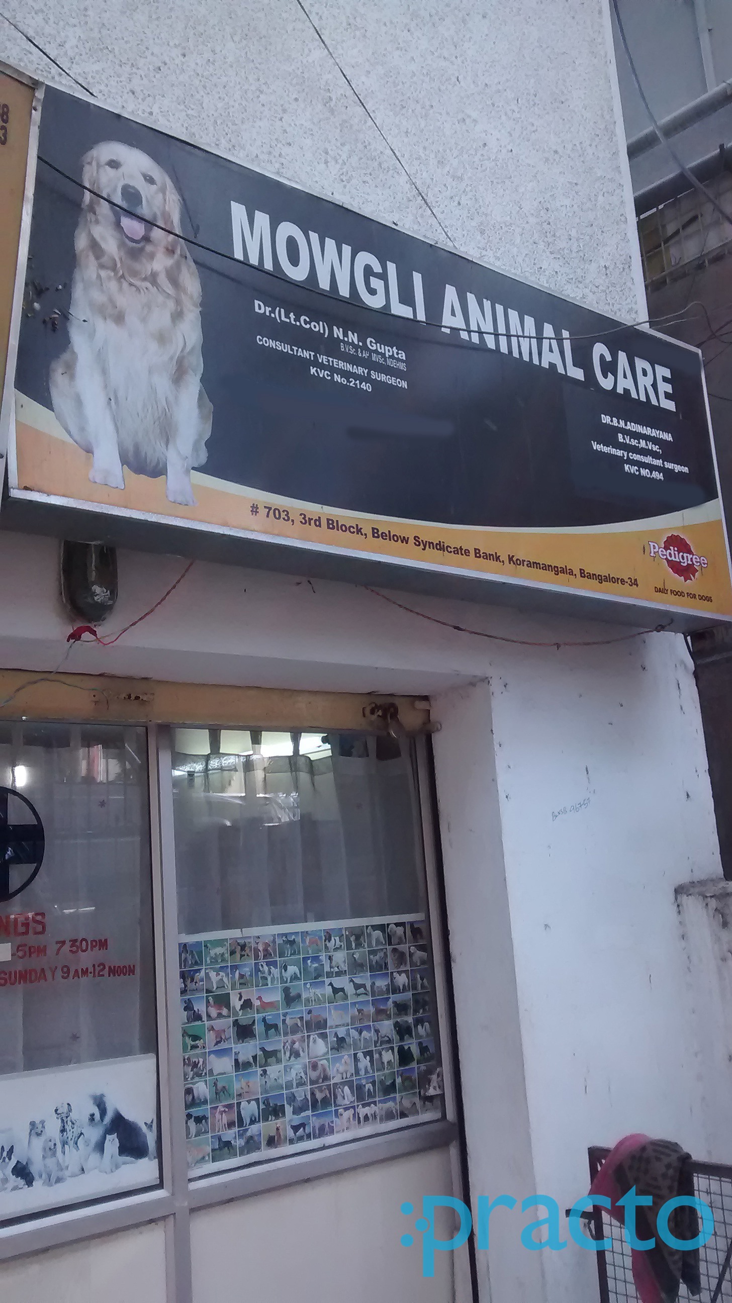 Mowgli Animal Care Koramangala 3 Block Bangalore