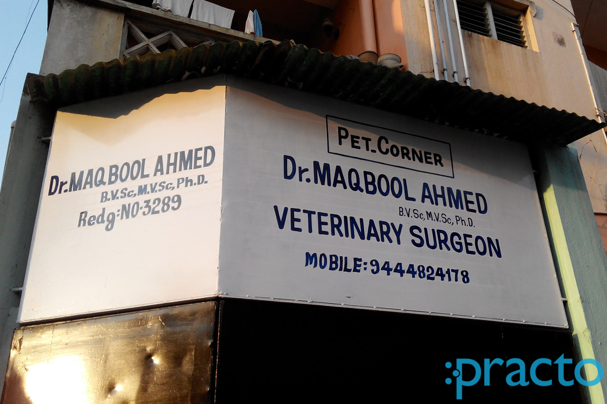 Entrance at Pet Corner Royapettah Chennai