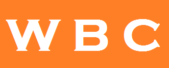 World Brain Center Hospital