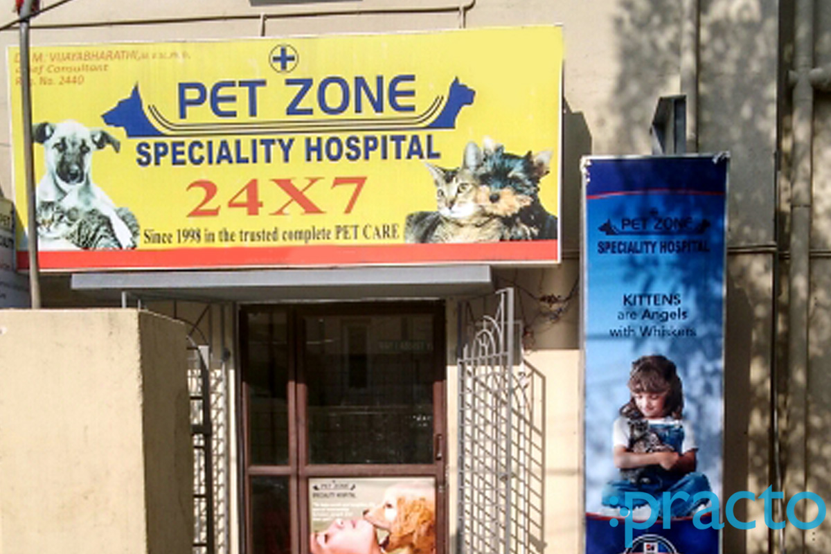 Pet Zone Speciality Hospital Alwarpet Chennai