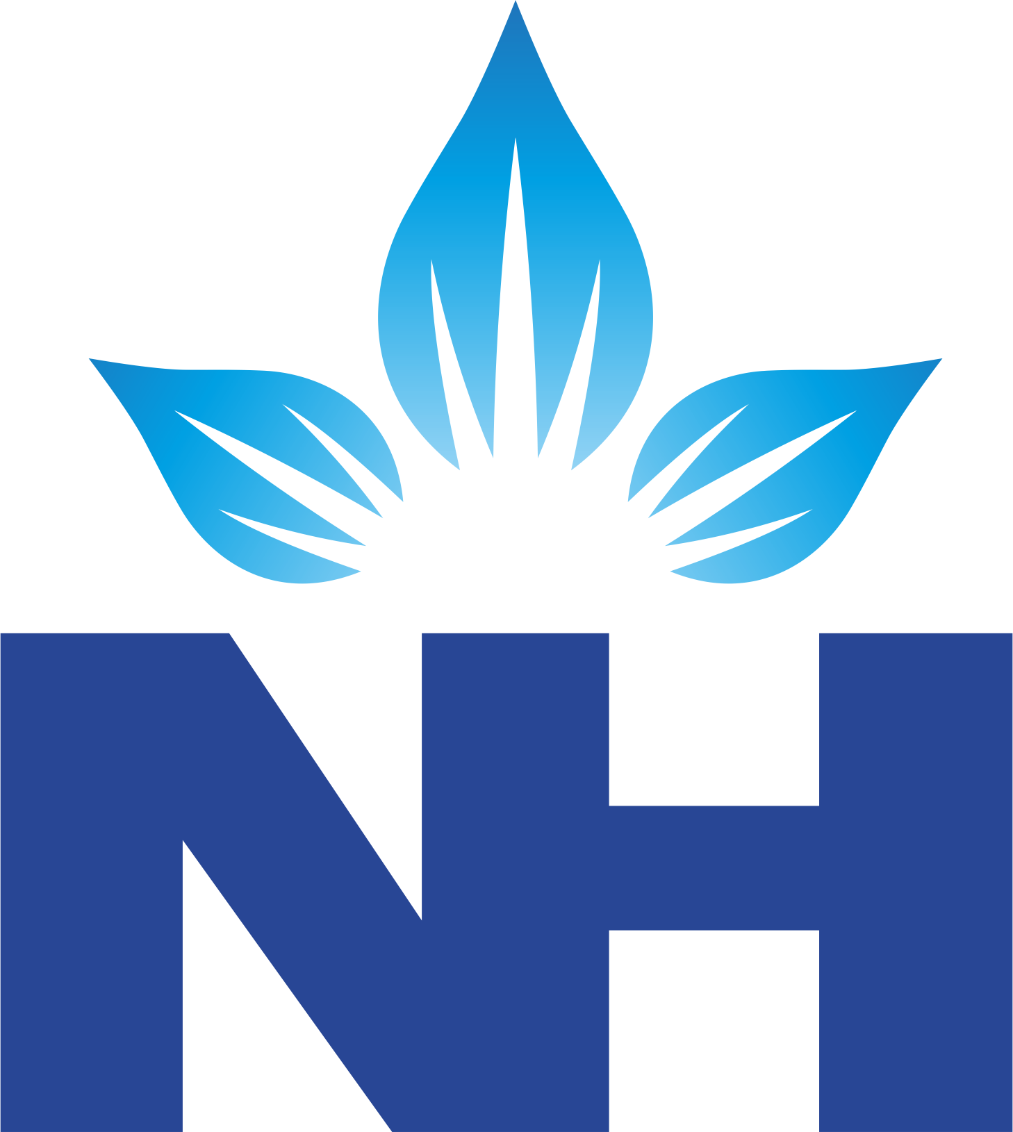 Narayana Multispeciality Hospital