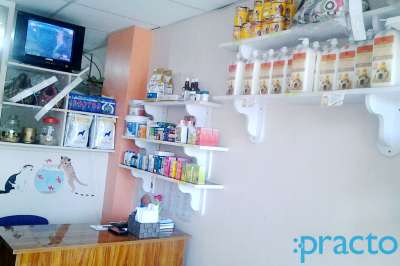 valencia veterinary clinic