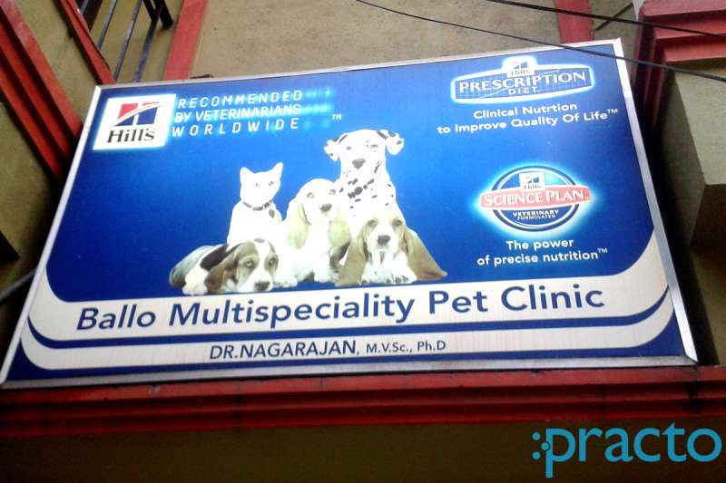 Srs pet hot sale clinic