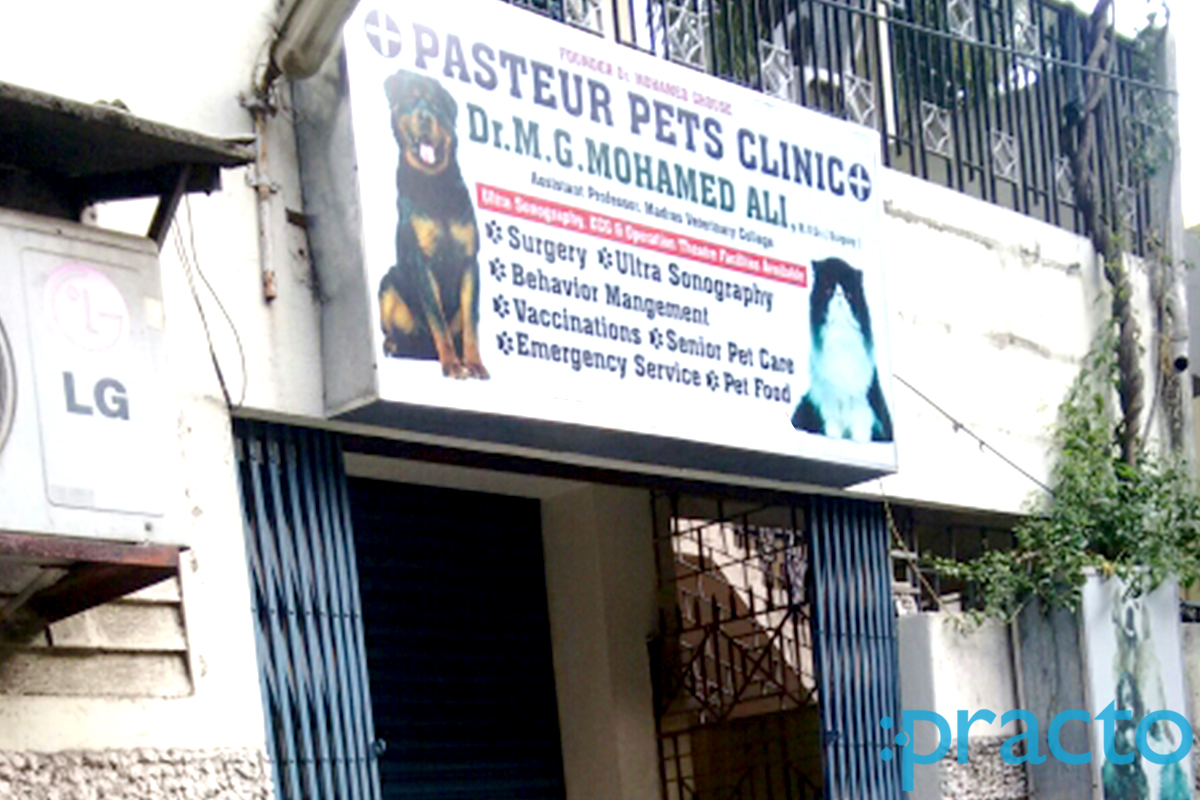 pasteur pet clinic