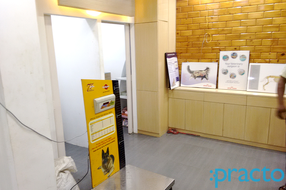 Pasteur Pets Clinic photo