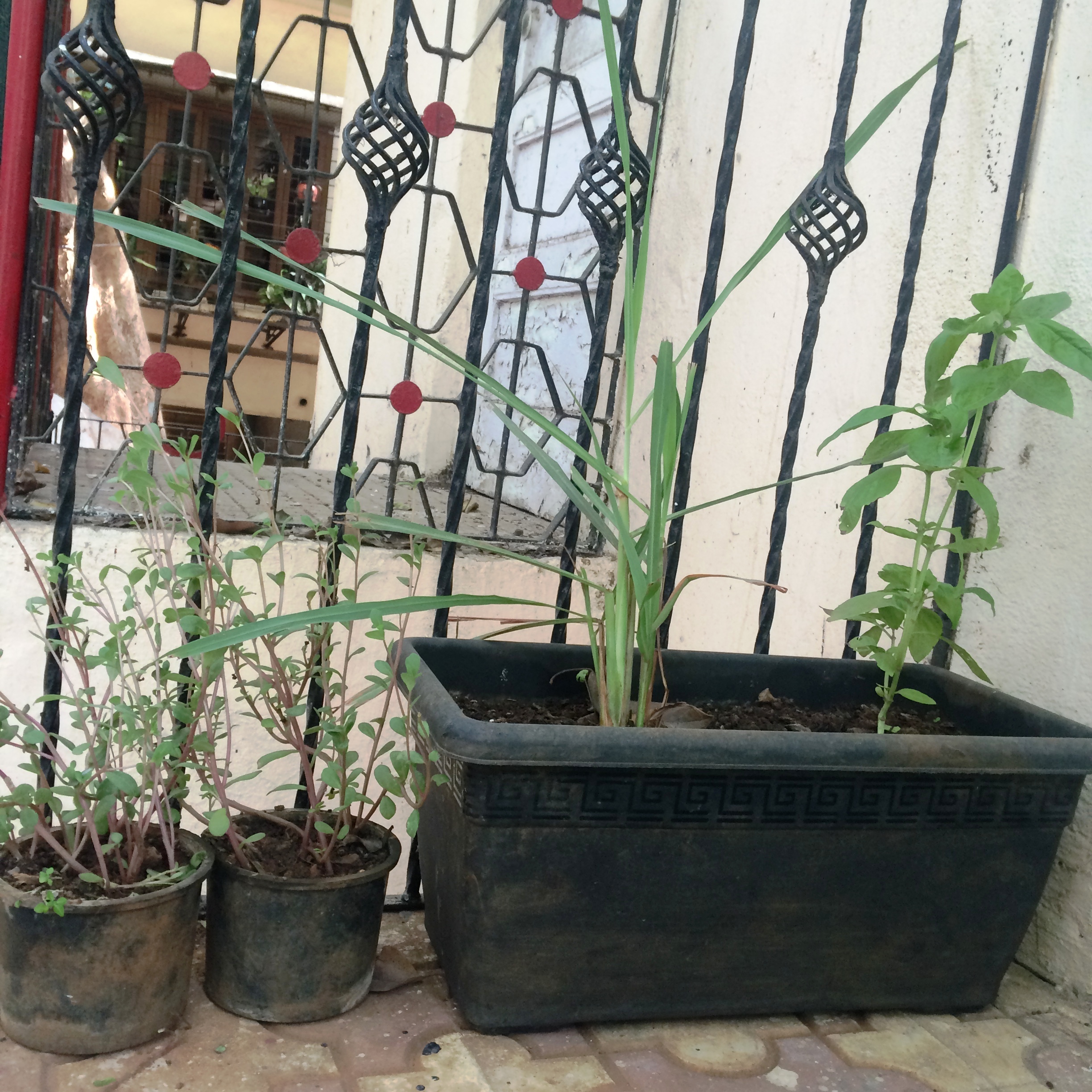 Scale Beyond Scale Bandra West Mumbai