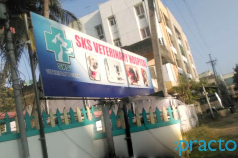 St marys hot sale veterinary hospital