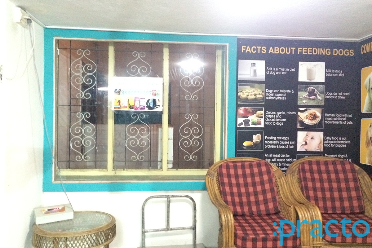 Waiting Area at SKS Veterinary Hospital Abhiramapuram Chennai