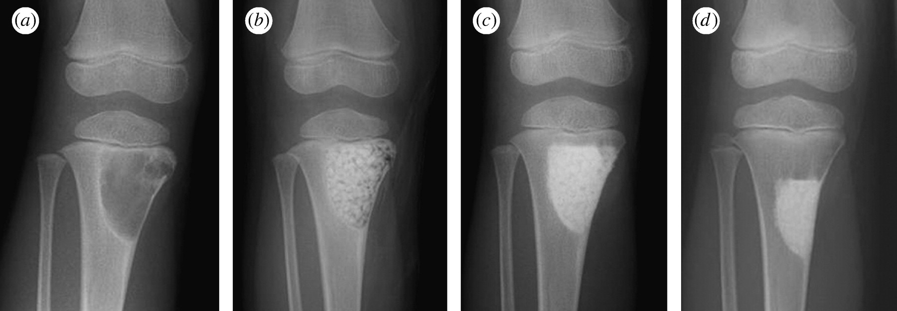 Labs at Mahesh Maheshwari Orthopedic Clinics Vashi Navi Mumbai