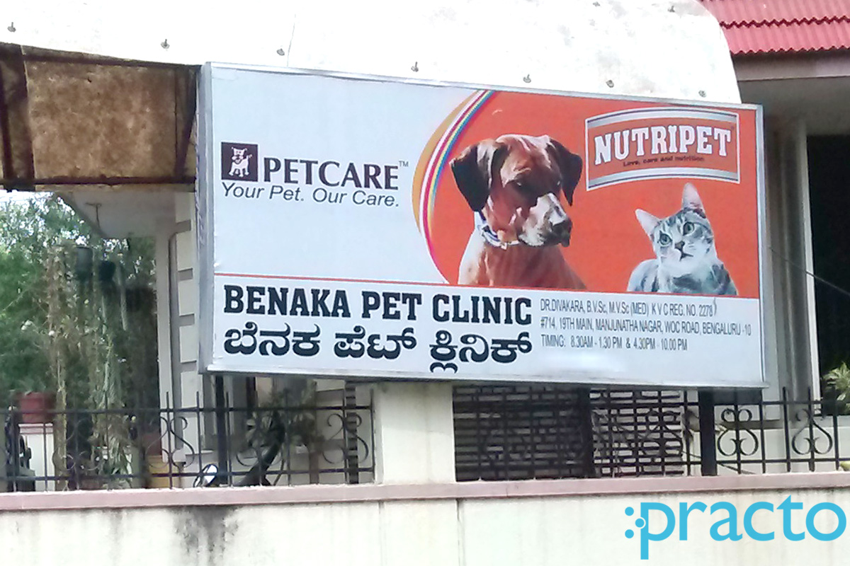 Entrance at Benaka Pet Clinic Basaveshwaranagar Bangalore