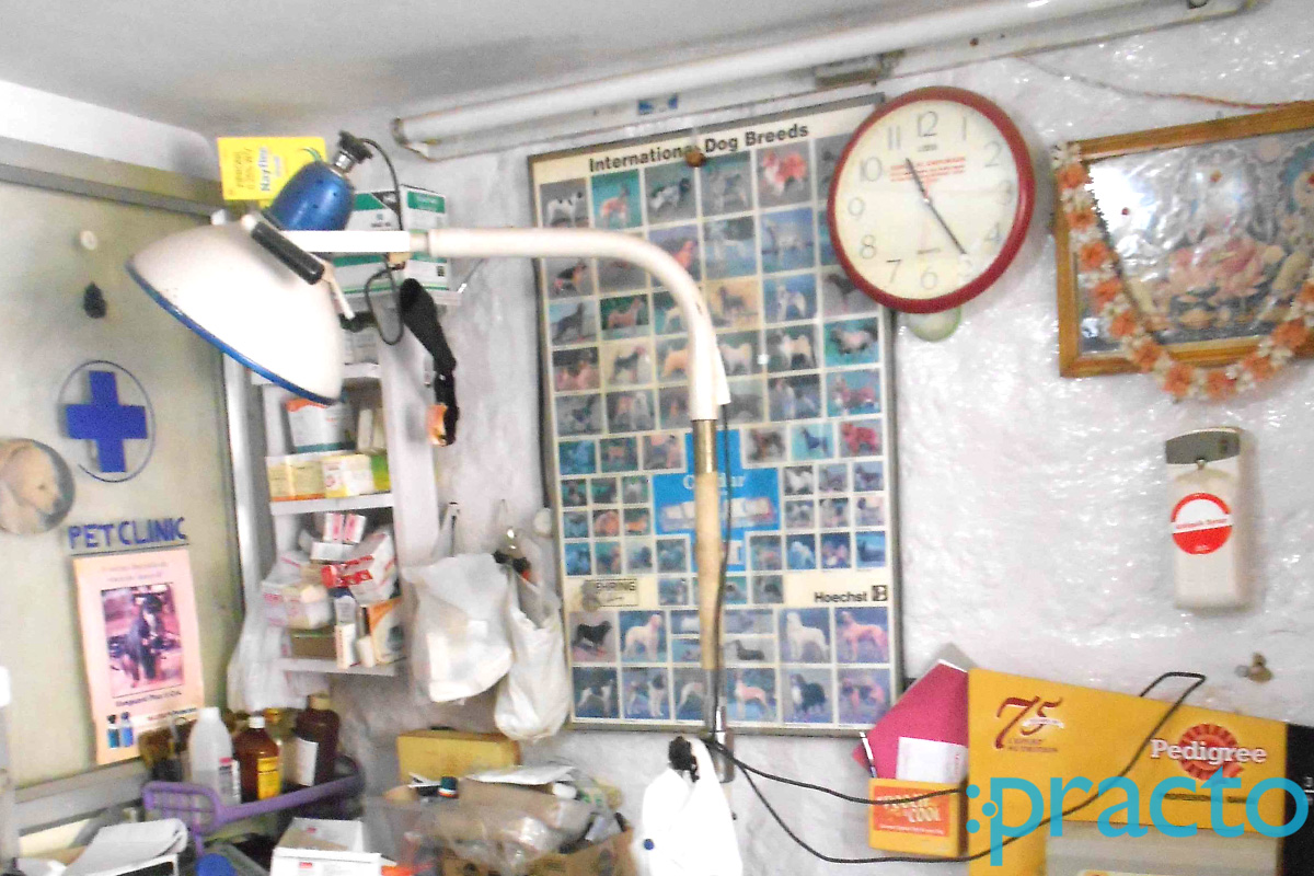 Benaka Pet Clinic Basaveshwaranagar Bangalore