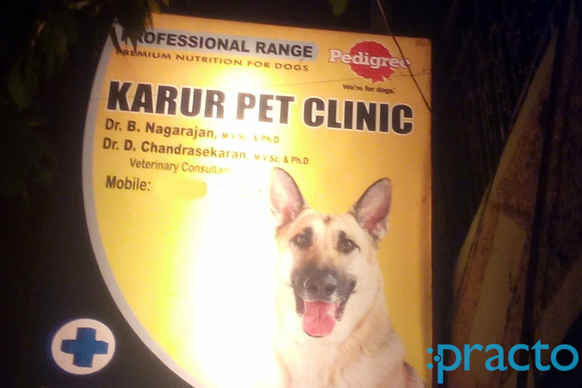 Entrance at Karur Pet Clinic Kodambakkam Chennai