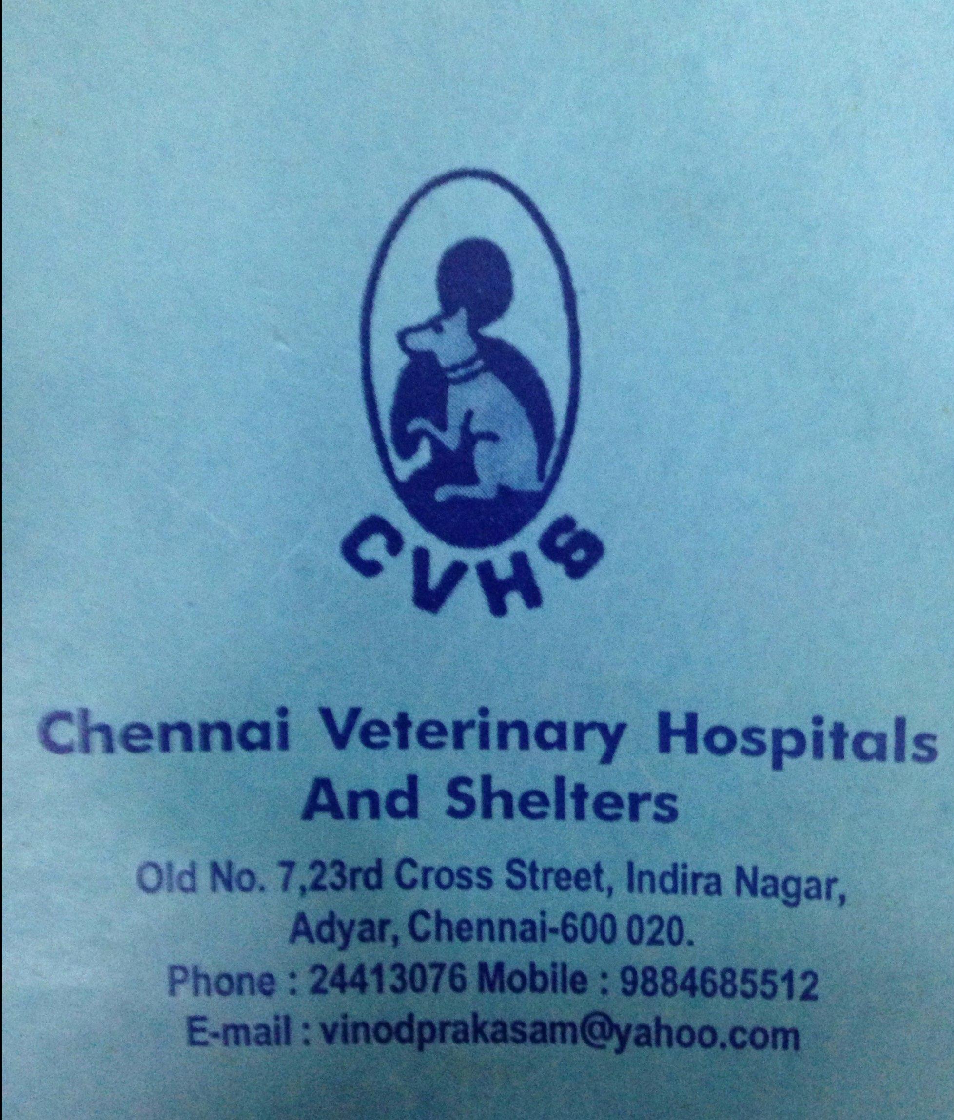Chennai Veterinary Hospitals and Shelters