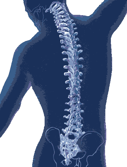 Orthospine Centre & Physio Rehab Care