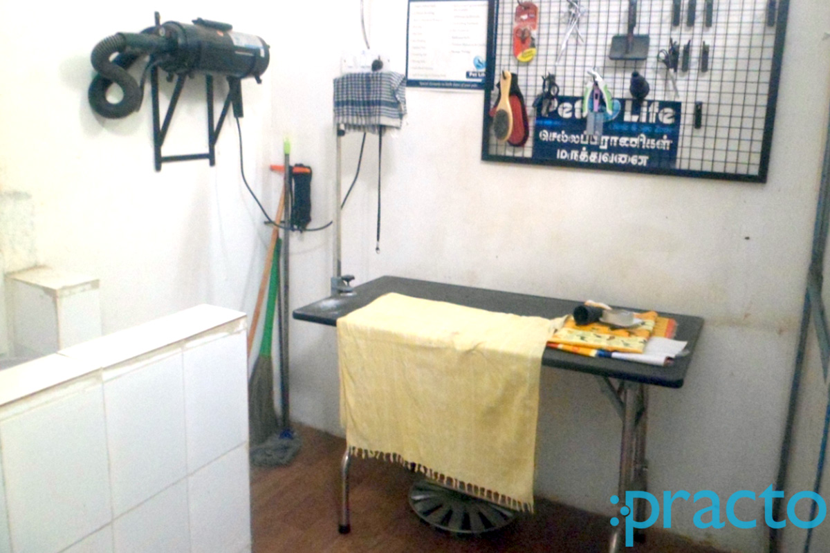 OPD/Ward at Pet Life Clinic Tharamani Chennai