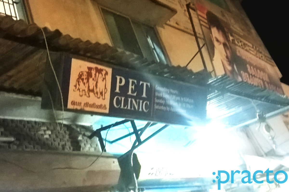 Pet Clinic KK Nagar Chennai