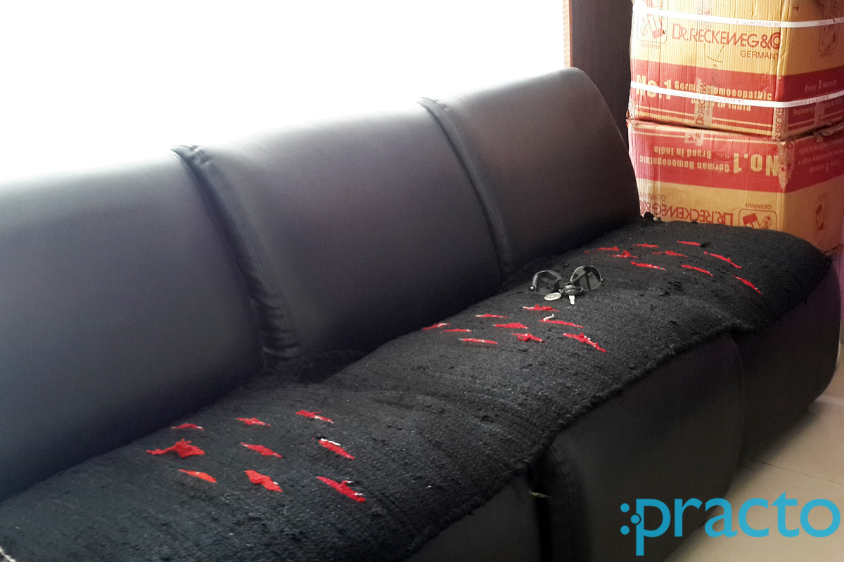 Waiting Area at Dr Wani's Homeopathy Clinic Nashik Nashik