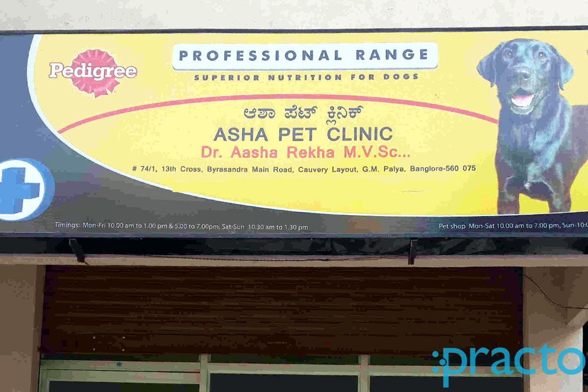 Entrance at Asha Pet Clinic New Thippasandra Bangalore