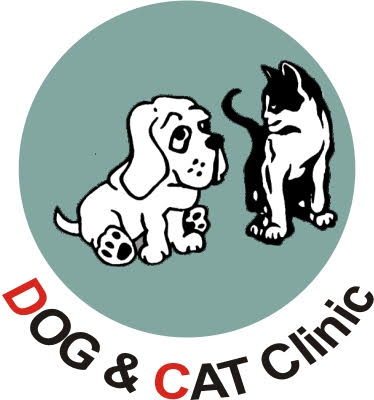 Dog & Cat Clinic