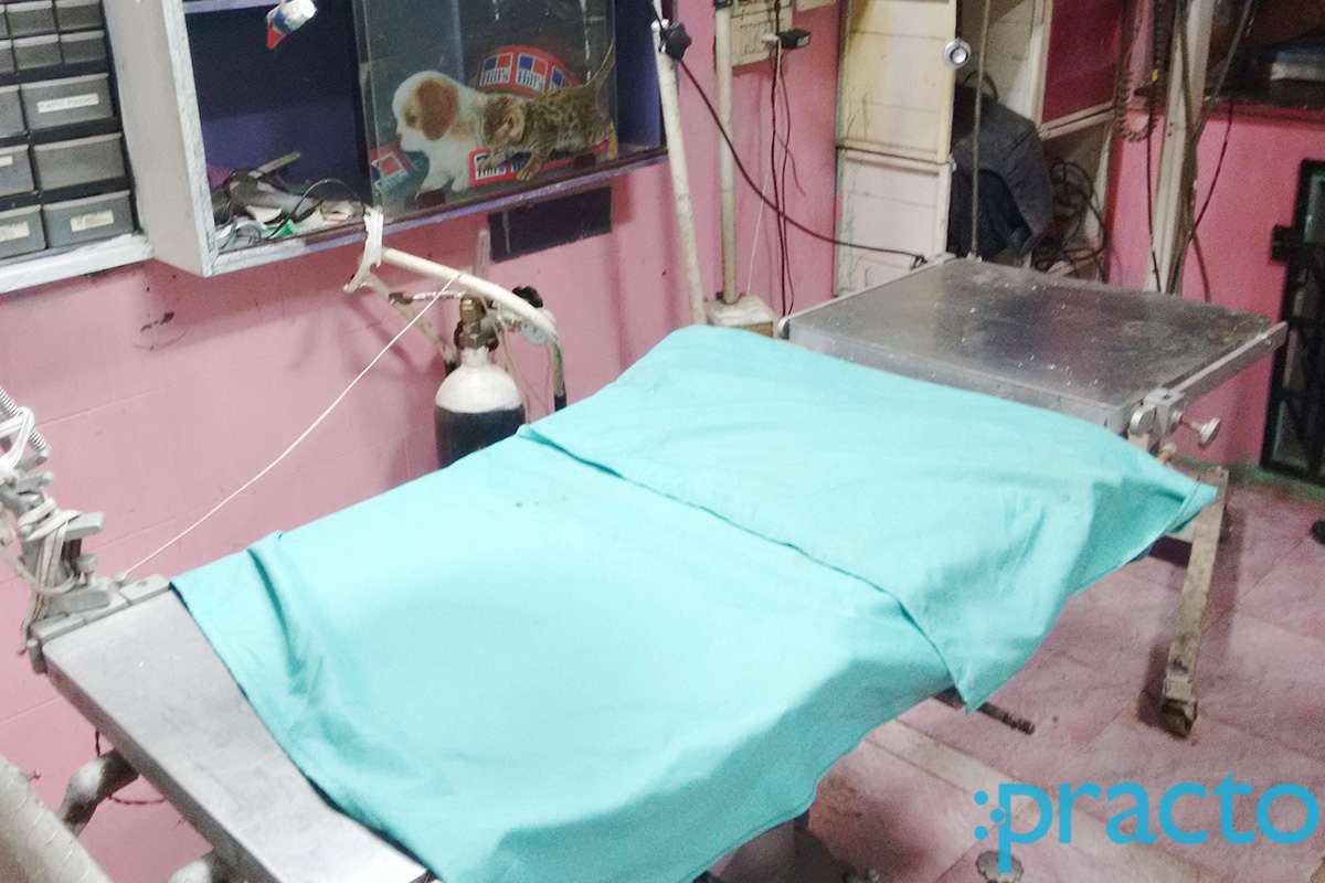OPD/Ward at Pets N Vets Guindy Chennai