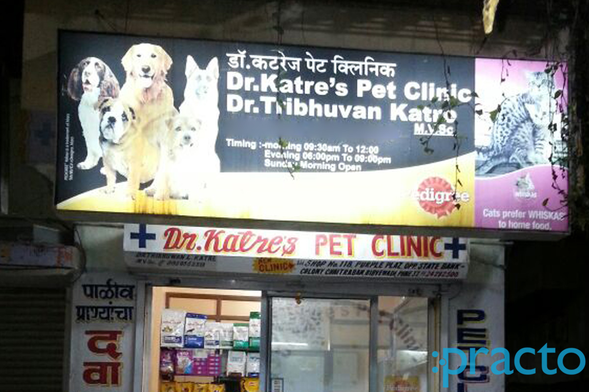 Entrance at Dr Katre Pet Clinic Bibvewadi Pune