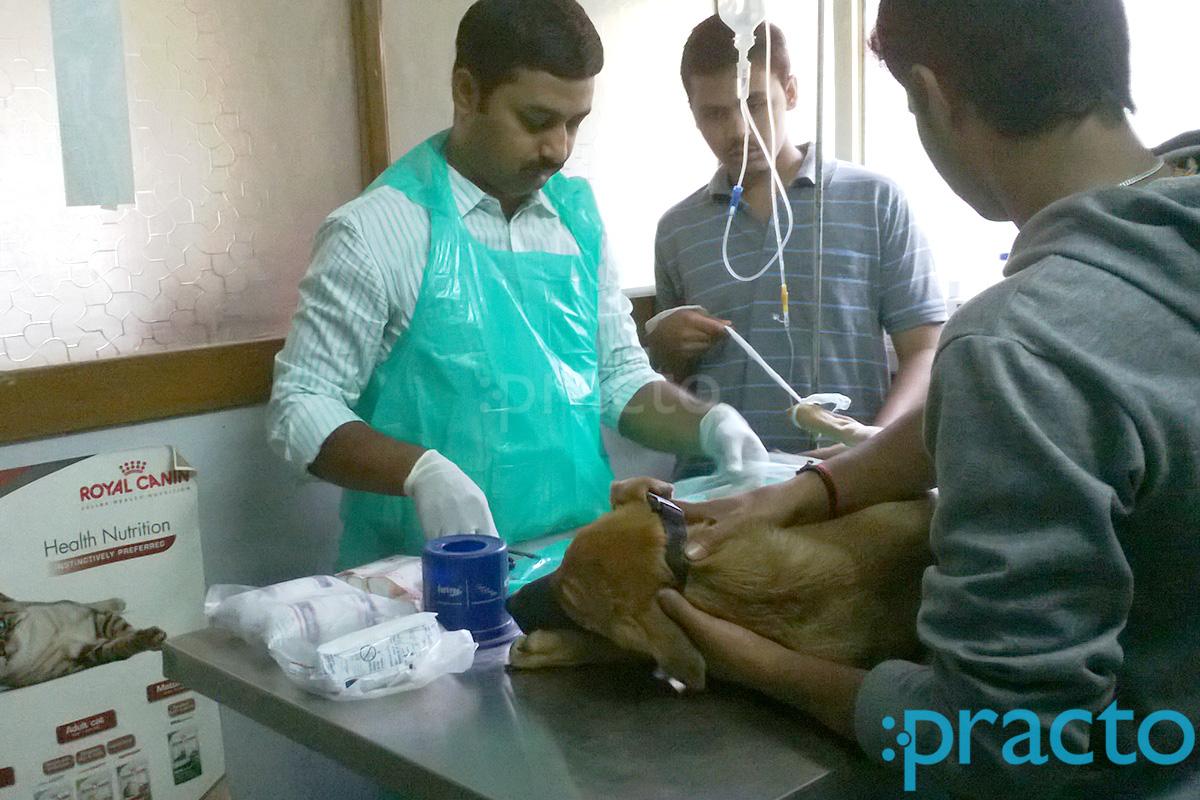 OPD/Ward at Animal Health Care Sadashiv Peth Pune