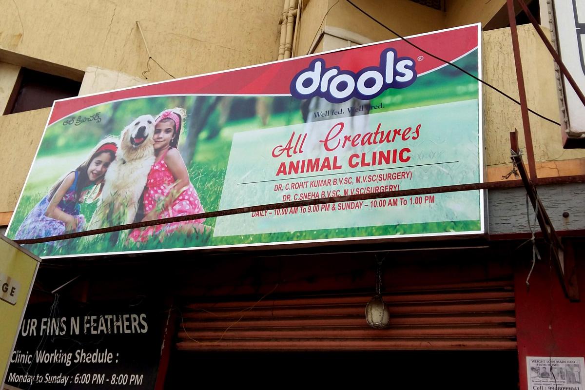 Entrance at All Creatures Animal Clinic East Marredpally Hyderabad