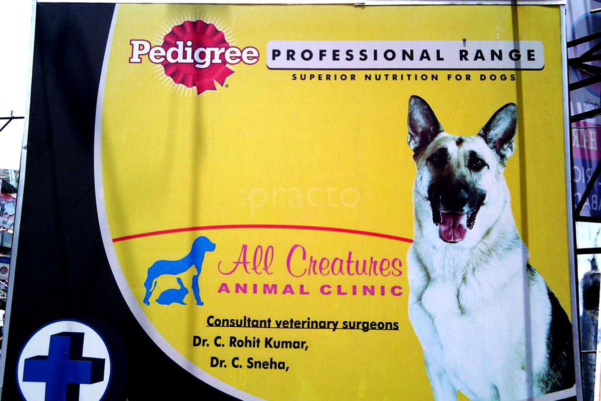 Entrance at All Creatures Animal Clinic East Marredpally Hyderabad