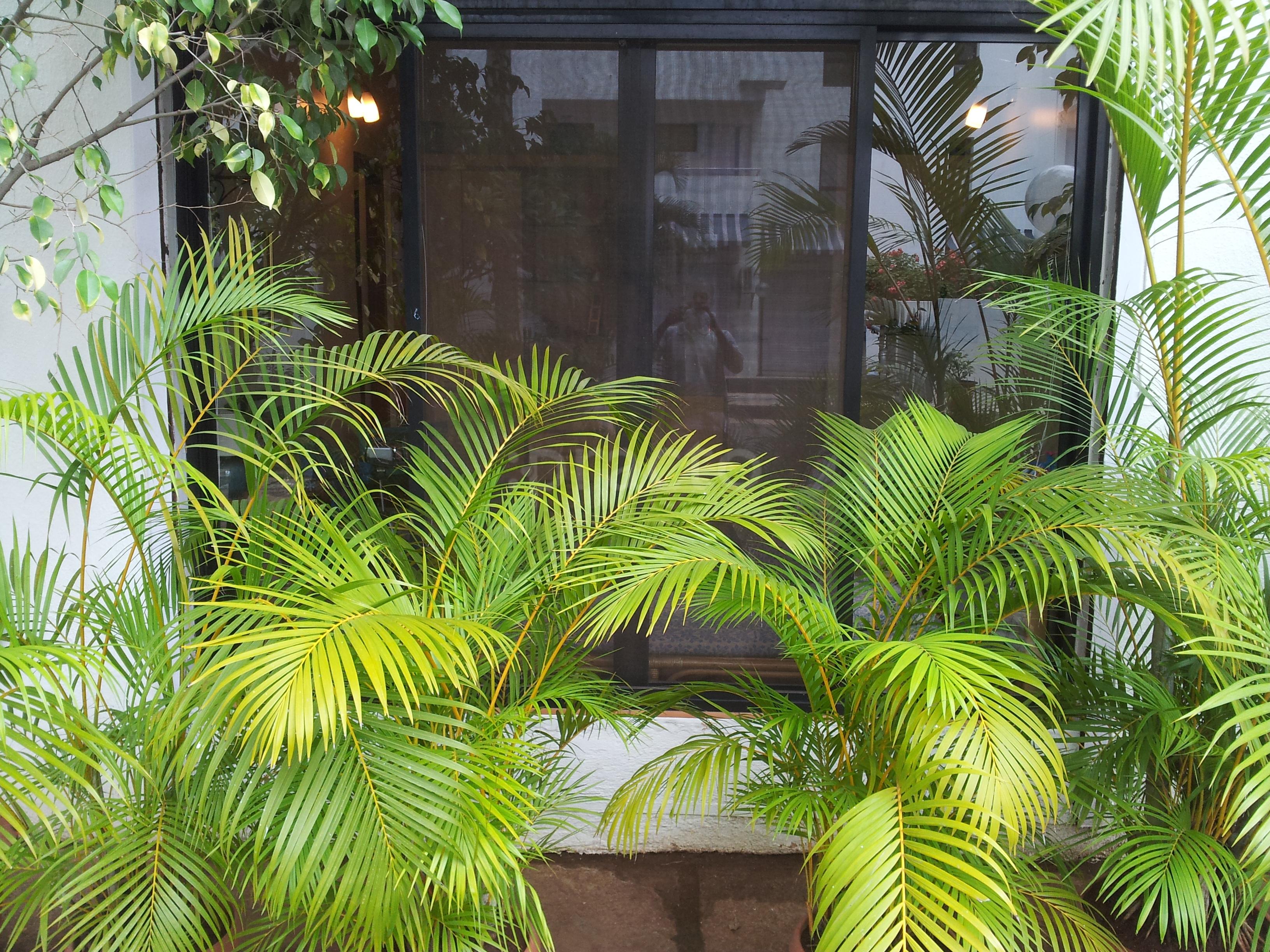 Entrance at Ananda Wellness Wanowrie Pune