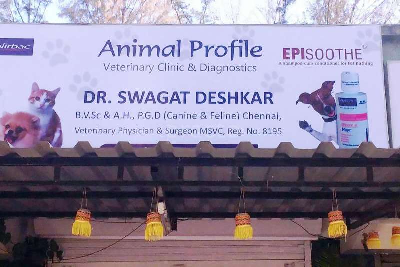Animal Profile Veterinary Clinic Diagnostics Centre Veterinary