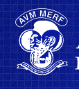 Avm Medical ENT Research Foundation Hospital