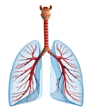 Balaji Chest Clinic Perambur Chennai